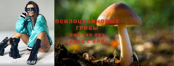 хмурый Нея