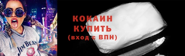 хмурый Нея