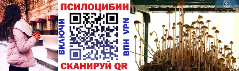 Псилоцибиновые грибы GOLDEN TEACHER  гидра зеркало  Электроугли 